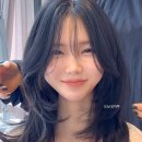 컷앤가이 이미지