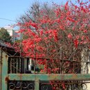 중문동-28 이미지