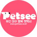 펫시(petsee) 이미지