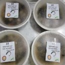 예송요양병원 이미지