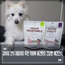 말랑독 | 강아지 간식 저알러지 추천 닥터독 비건트릿 건강한 애견간식