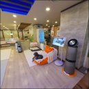 상신리코코네 이미지