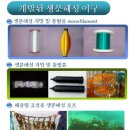 일등환경 이미지