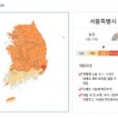 세종 조치원·연기비행장 통합사업 기재부 통과…40년 숙원해소 이미지