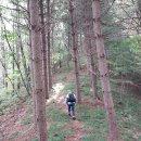 대현1리 이미지