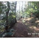 제주 올레길 4코스 이미지