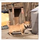 바다가쓴시 이미지