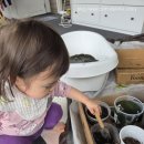 mom's home | [Daily] 호박이 치과 | 친구 다과 | Parent as teacher | 수영 | treasure hunt 20250501