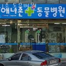 애니존동물병원 이미지