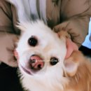 두암동현대자동차 이미지