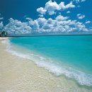 빈 팩토리 이미지