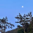 라벤더 민박 이미지