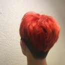 코퍼쌤