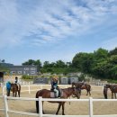 당진 승마장 이미지