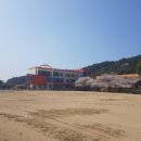 심원초등학교병설유치원 이미지