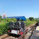 섬진강순환1 이미지