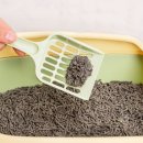 주식회사 스쿱 이미지