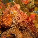 Bee PC ZONE 이미지