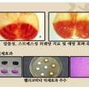 허준한방삼계탕 이미지