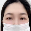 원주 기업도시 속눈썹펌 헤이제이브로우 에서 이쁜 속눈썹펌 후기