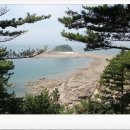 아브라카다브라 이미지