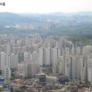 영구네 이미지