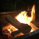 자연카라반펜션 이미지