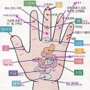 하루 3분 `손가락` 주물러주면 벌어지는 놀라운 변화 이미지