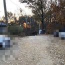마루아라 하우스 | [인천] 경인아라뱃길 아라마루전망대 근처 분위기 좋은 카페 파인트리하우스 방문 후기