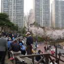 석촌공원길 이미지