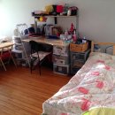 [거실쉐어] [2014 Jan. 1] Looking for female roommate. No take over!, No Extra charges! Free Pick up!!! 이미지