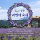구룡원 티스토리