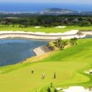 그린필드 이미지