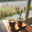 대마도 히타카츠 항구 근처 카페 쓰시마 cafe tsushima 방문후기
