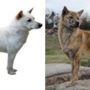 영구축산 이미지