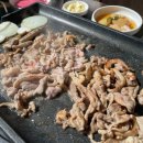 국제오리 이미지