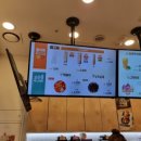 하이멍냥 강아지분양 고양이분양 서울본점 이미지