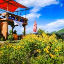 벽송농장 이미지