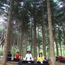 종보농장 이미지