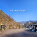 도담캠핑장 이미지