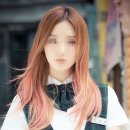 메쉬헤어 이미지