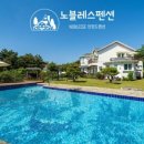 노블레스팬션 이미지