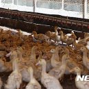 연신농장 이미지