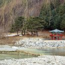 정선아리랑 &#34;旌善아리랑&#34; 이미지