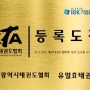 유일 효 태권도 이미지