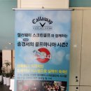 왕스크린골프 이미지