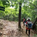 내곡동466 이미지