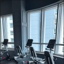 머슬카페피트니스 이미지