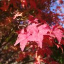 국립낙안민속자연휴양림 이미지