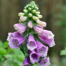 택시승강장 이미지